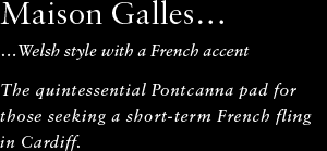 Maison Galles, Welsh style with a French accent. The quintessential Pontcanna pad for those seeking a short-term French fling in Cardiff.